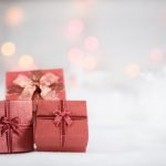 ultimate gift guide for gardners